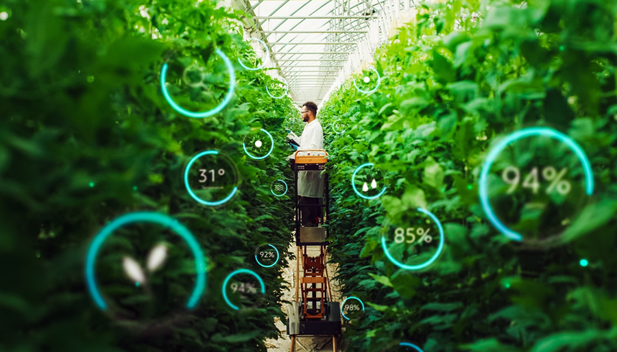 De verantwoording van AI-kosten in subsidieprojecten