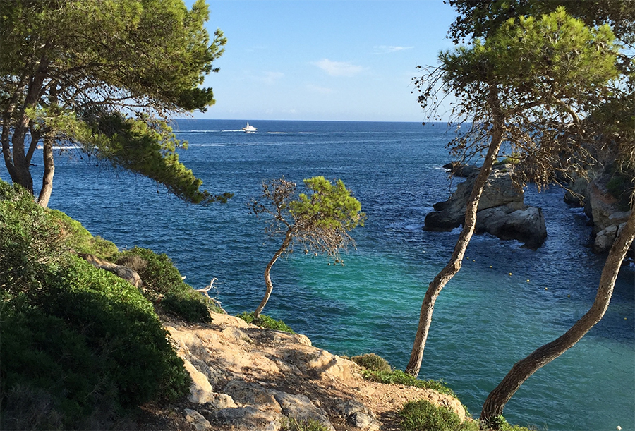 Leiderschapsreis: Trail Mallorca Leiderschapsreis: Trail Mallorca