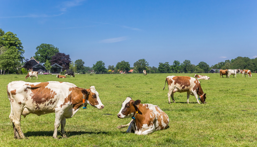Gemeente Twenterand stevent af op groot begrotingstekort
