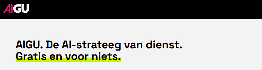 Het doel was een boek. Toen werd het een samenvatting. En toen AIGU