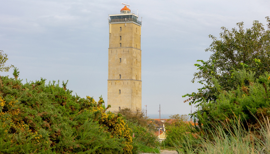 Adviesbureau helpt Terschelling met ontwikkeling van ecologisch groenbeheerplan