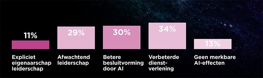  Afwachtend leiderschap, beperkte AI-impact 