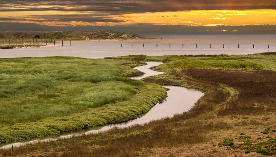 Helft subsidies heeft een negatieve impact op biodiversiteit