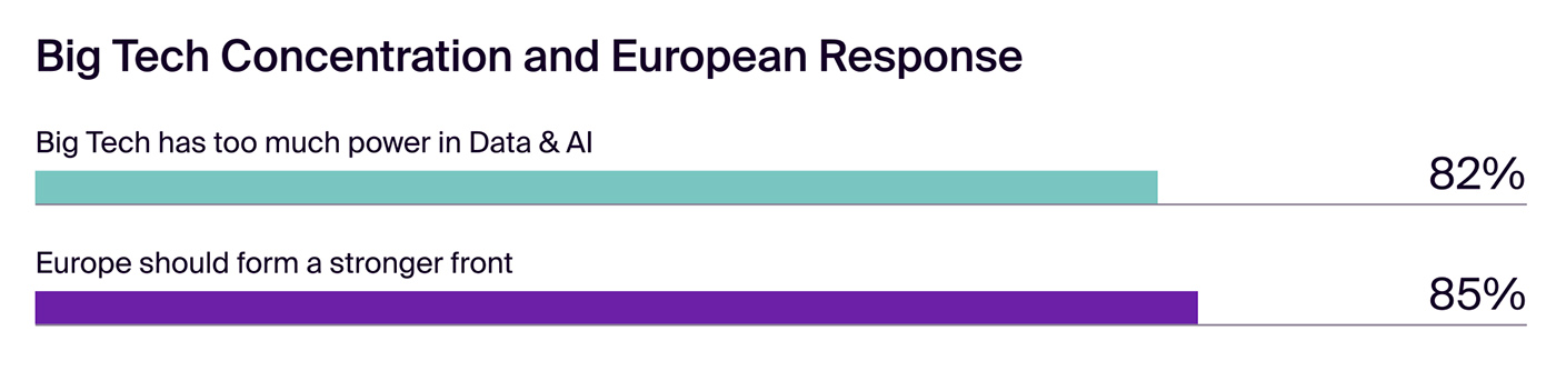 Big Tech Concentration and European Response