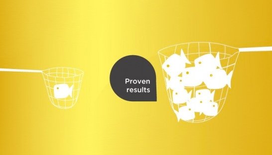 Terugblik op rebranding en nieuwe website Yellowtail