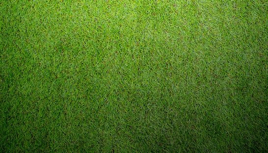 Market entry specialist G&C plukt vruchten van crisis