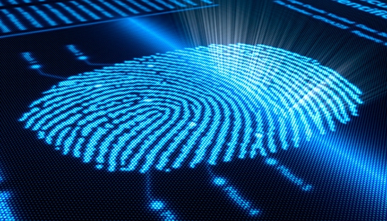 Gavin Williamson and Cathie Cameron join BDO Forensic
