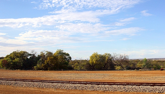 Transport for New South Wales calls in railway experts from Altran