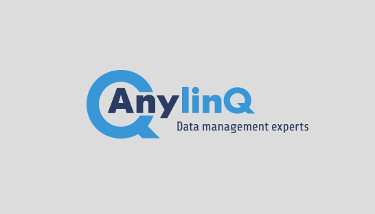 ICT-bedrijf AnylinQ Group voegt consultancy business units samen
