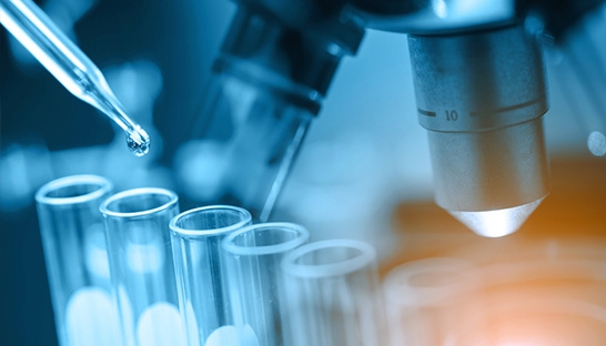 Seven M&A consultancies advise on Dechra's duo of Dutch acquisitions