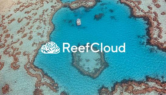 New cloud platform enhances coral reef monitoring in the Pacific