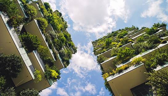 McKinsey: Biodiversiteit nieuwe pijler strategie