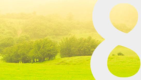 Copper8 streeft naar transitie naar nieuwe economie