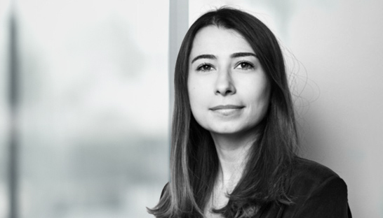 Risk Capital Advisors haalt Gülsüm Aslan aan boord