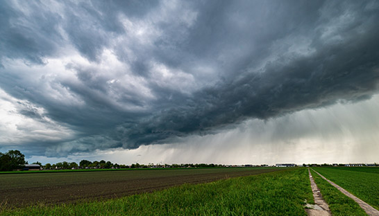 Extreme weather events in Europe to hit food supply chains
