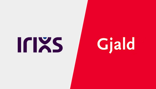 Irixs neemt Zwolse AFAS-partner Gjald over