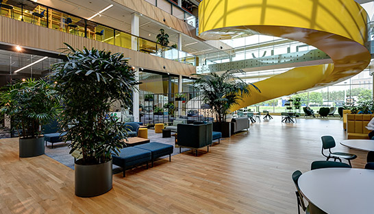 Dutch team of CubeMatch moves into new office in Utrecht