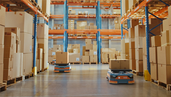 Hoe slimme WMS-oplossingen de e-commerce supply chain transformeren