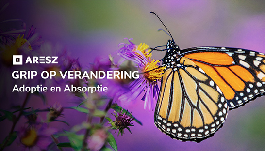 Verandervermogen versterken met inzicht in adoptie en absorptie