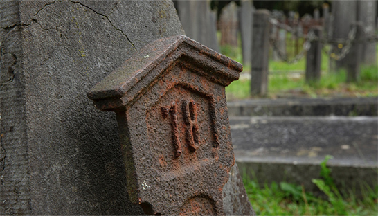 Dordrecht schakelt adviesbureau in voor onderzoek naar begraafplaats