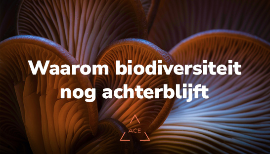 Waarom biodiversiteit nog achterblijft in de Nederlandse financiële sector