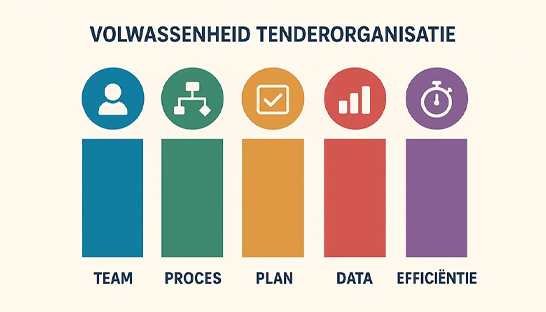 De volwassenheid van de tenderorganisatie verhogen met het Proposal Maturity Model