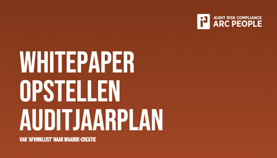 Het COSO-model als basis voor het jaarplan van internal audit-functies