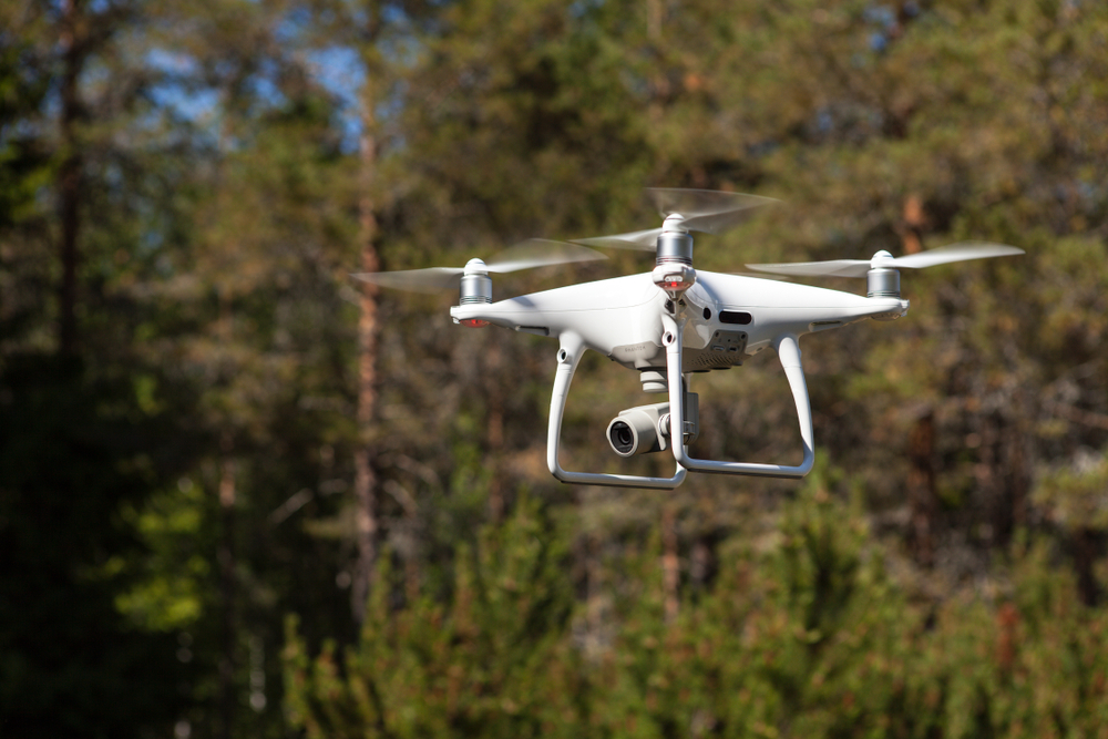 Bureaus onderzoeken Gronings natuurgebied met drones