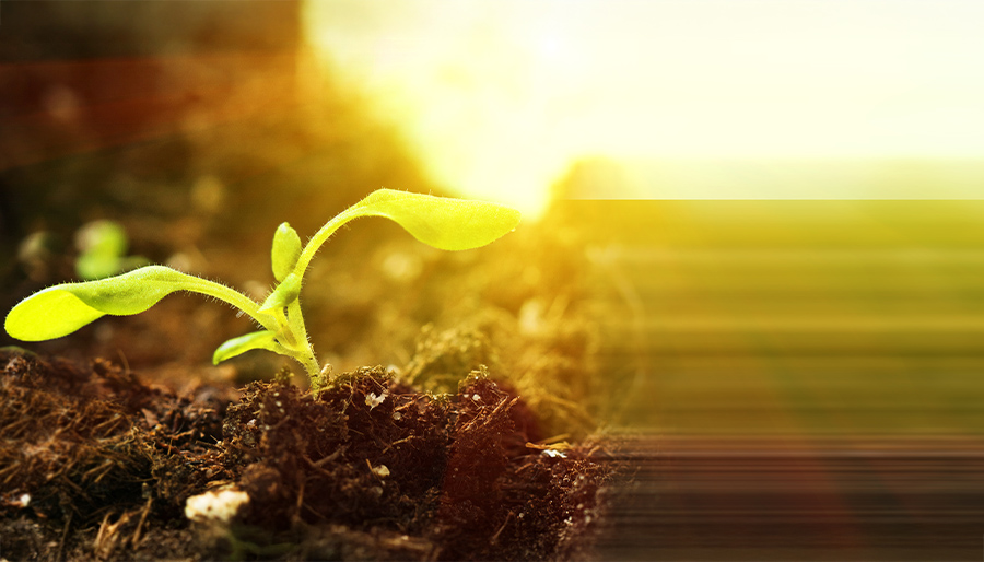 De businesscase als bouwtekening voor Nationaal Groeifonds-ecosystemen