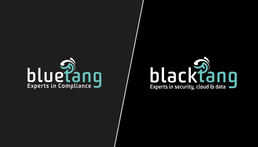 Bluetang en Blacktang willen met Rotate Capital binnen twee jaar verdubbelen