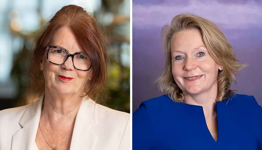 ‘Manifest voor nieuwe tijden’: 21 simpele regels voor adviseurs die waarde willen toevoegen aan een complexe wereld