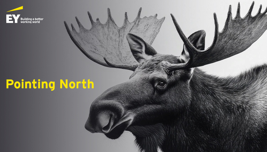 EY Canada launches Pointing North national innovation platform