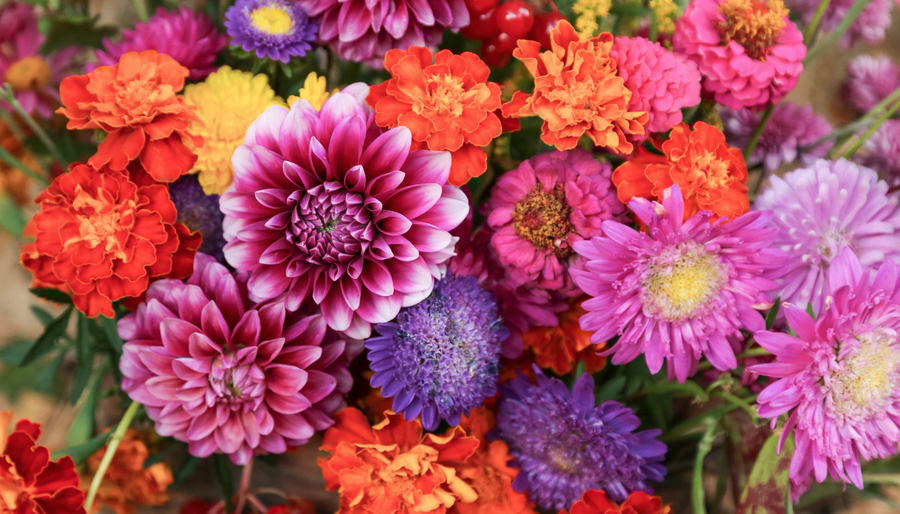 Nieuwe aandeelhouders en CEO voor Van Wordragen Flowers