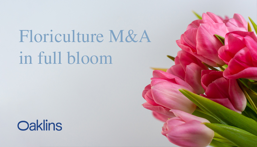 Floriculture M&A in full bloom as deal activity rises in first half of 2026