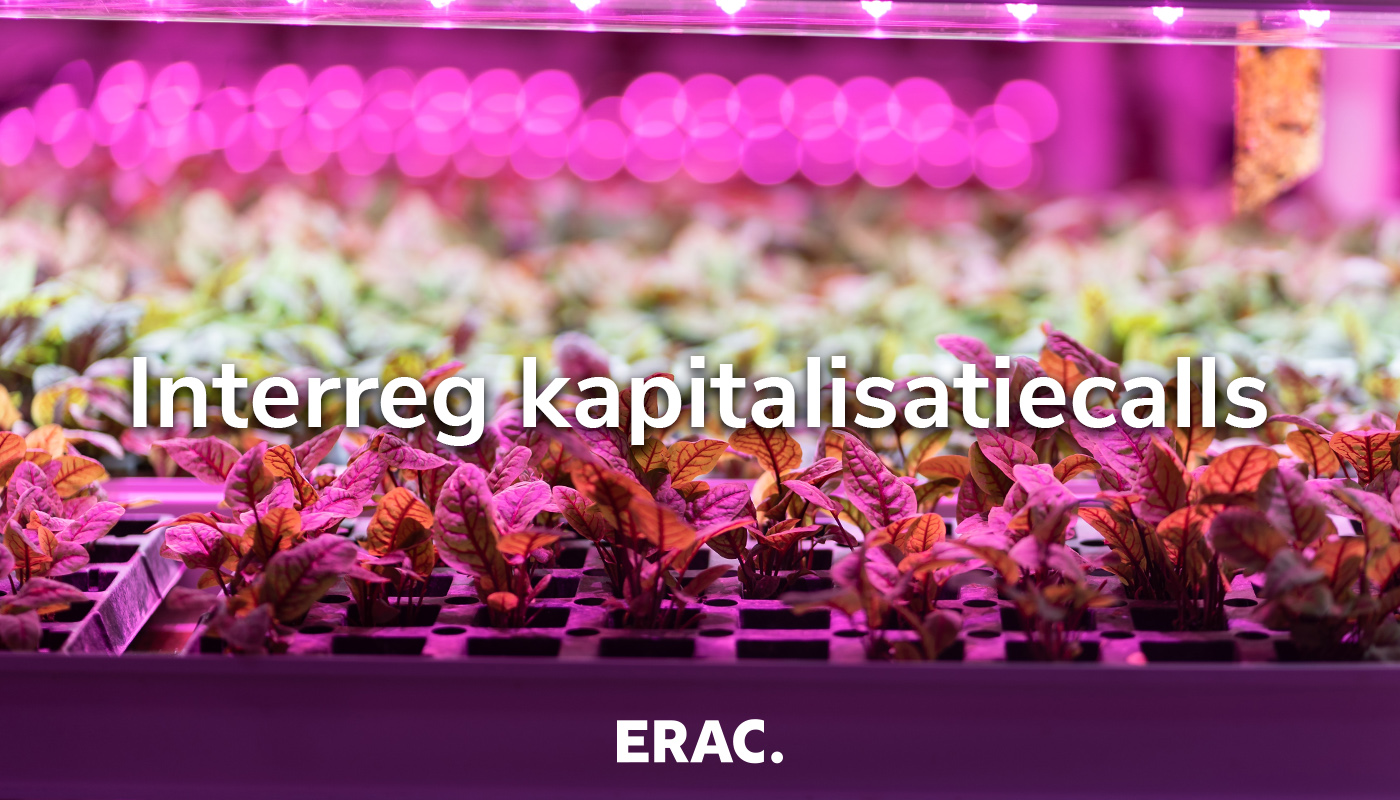 Waarom Europa steeds vaker kiest voor Interreg-kapitalisatiecalls