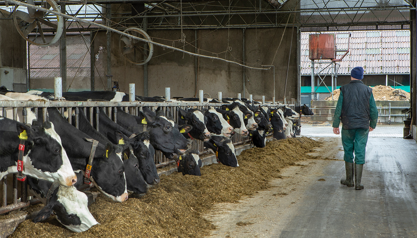 CE Delft: ‘Bijmengplicht biozuivel kost jaarlijks tot €60 miljoen’