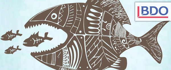 250 nieuwe adviseurs voor BDO