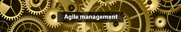 AGILE MANAGEMENT