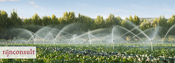 Agrifoodsector