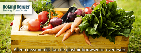 Alleen gezamenlijk kan de glastuinbouwsector overleven