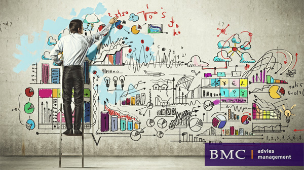 BMC - Organisatiemodel ziekenhuizen BMC - Organisatiemodel ziekenhuizen