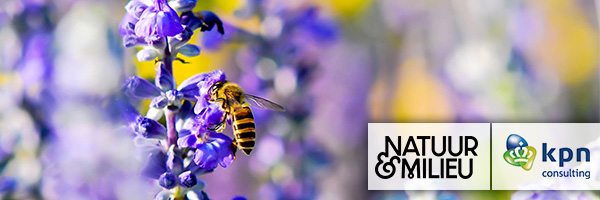 Bijenradar-app-van-Natuur-&-Milieu-en-KPN-Consulting
