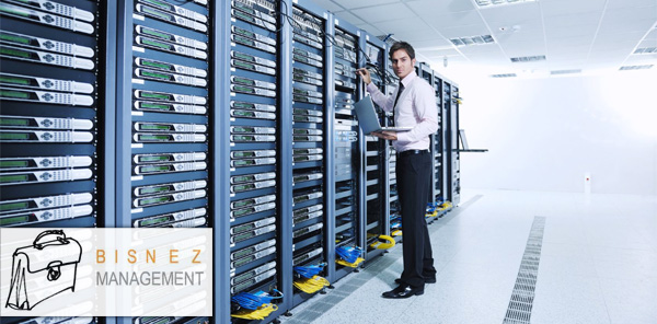 Bisnez - Datamanagement