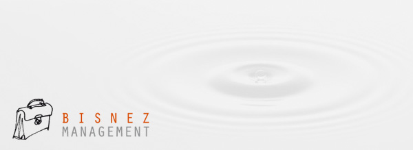 Bisnez Management
