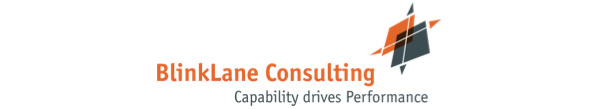 BlinkLane Consulting Logo BlinkLane Consulting Logo