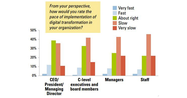 Capgemini Consulting - Digitalisering2