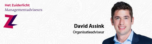 David Assink - Het Zuiderlicht