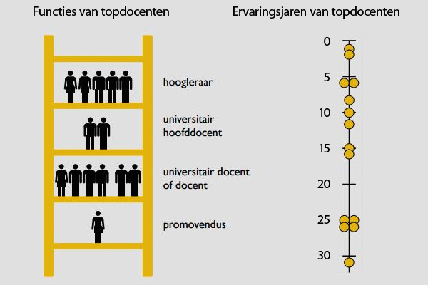 Functies en ervaringsjaren van topdocenten