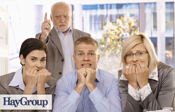 Hay Group - Fouten maken goed voor Talentontwikkeling Hay Group - Fouten maken goed voor Talentontwikkeling