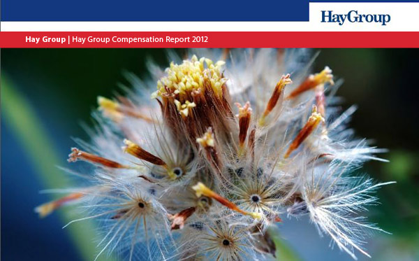 Hay Group - Compensation report 2012 Hay Group - Compensation report 2012